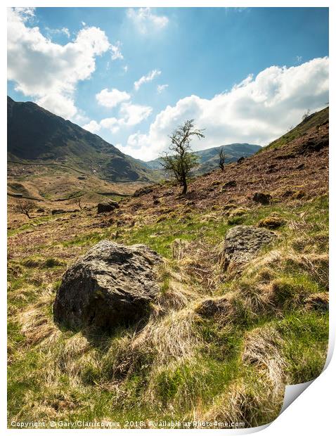 A Haweswater Tree Print by Gary Clarricoates