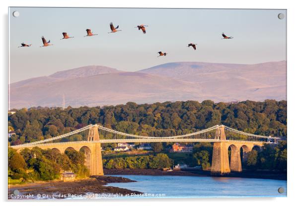 Menai Bridge and the Cranes Acrylic by Daugirdas Racys