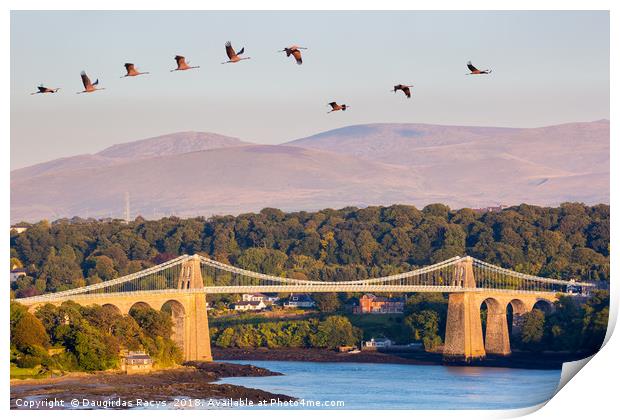 Menai Bridge and the Cranes Print by Daugirdas Racys