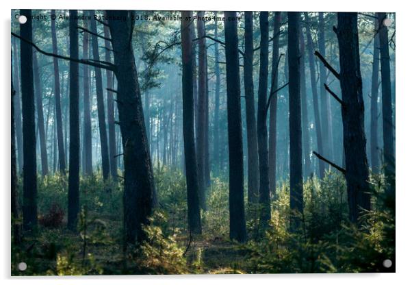 Misty forest Acrylic by Alexandre Rotenberg