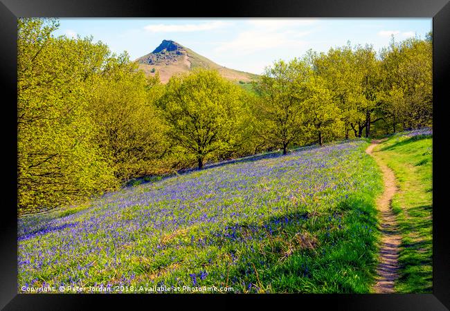 Bluebells in the Spring with Roseberry Topping Nor Framed Print by Peter Jordan
