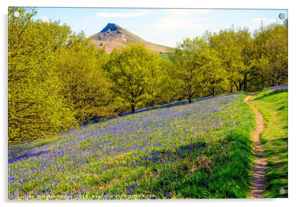 Bluebells in the Spring with Roseberry Topping Nor Acrylic by Peter Jordan