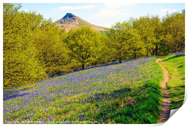 Bluebells in the Spring with Roseberry Topping Nor Print by Peter Jordan