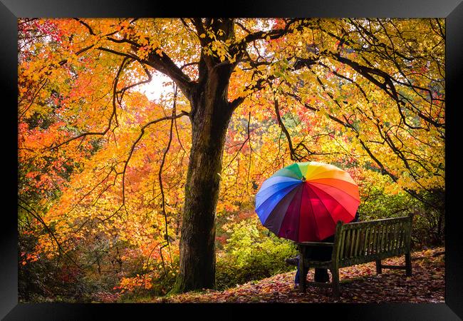 Autumn Colours in the Rain Framed Print by Kelvin Trundle