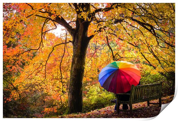 Autumn Colours in the Rain Print by Kelvin Trundle