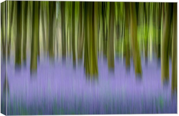 Moving Bluebells Canvas Print by Kelvin Trundle