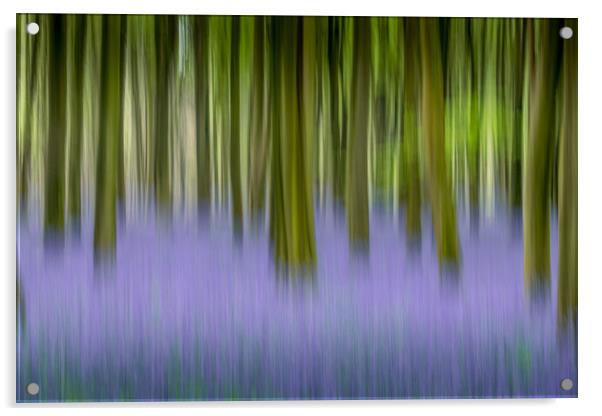 Moving Bluebells Acrylic by Kelvin Trundle