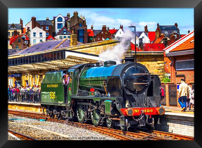 Repton at Whitby Framed Print by Trevor Camp