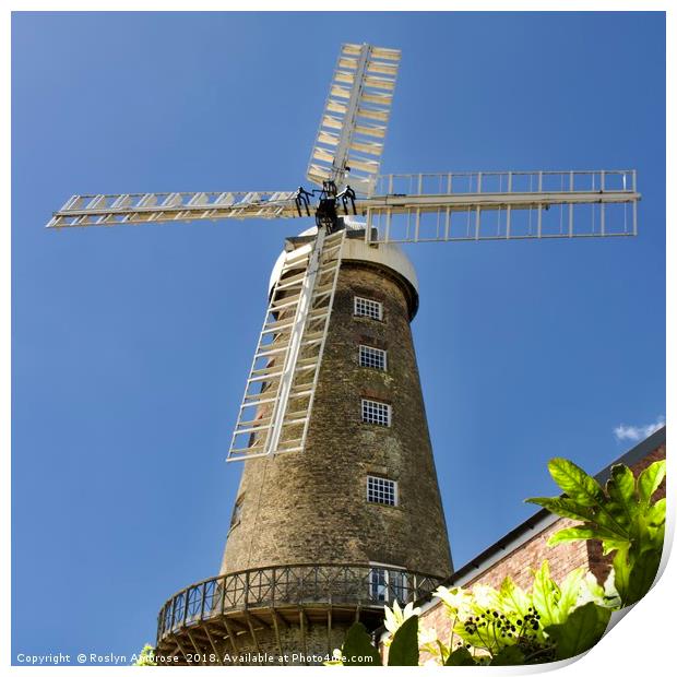 Moulton Windmill Print by Ros Ambrose