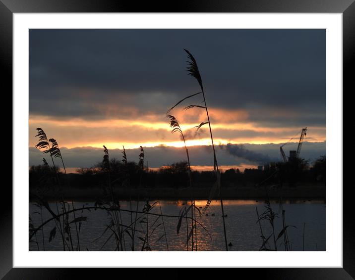 Sunset over Teesside Framed Mounted Print by Pauline Raine