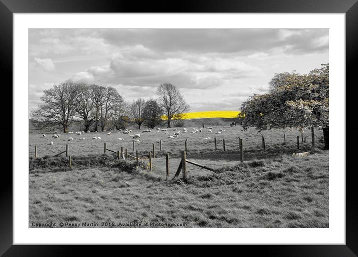 Striking Yellow Field of Rapeseed near Avebury  Framed Mounted Print by Penny Martin