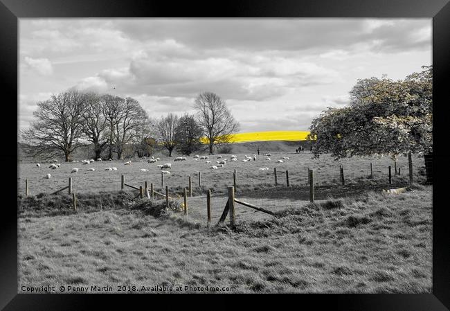 Striking Yellow Field of Rapeseed near Avebury  Framed Print by Penny Martin