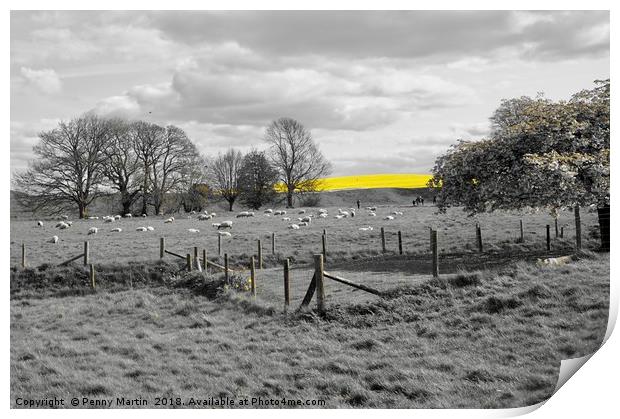 Striking Yellow Field of Rapeseed near Avebury  Print by Penny Martin