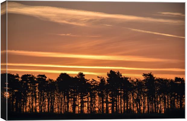 Sunrise over Shropshire  Canvas Print by James Sedgemore