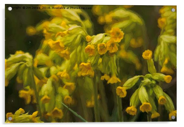 Cowslips with an Oil Painting filter Acrylic by Jim Jones
