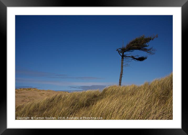 Lonely tree at Formby Beach Framed Mounted Print by Carmen Goulden