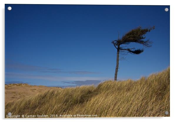 Lonely tree at Formby Beach Acrylic by Carmen Goulden