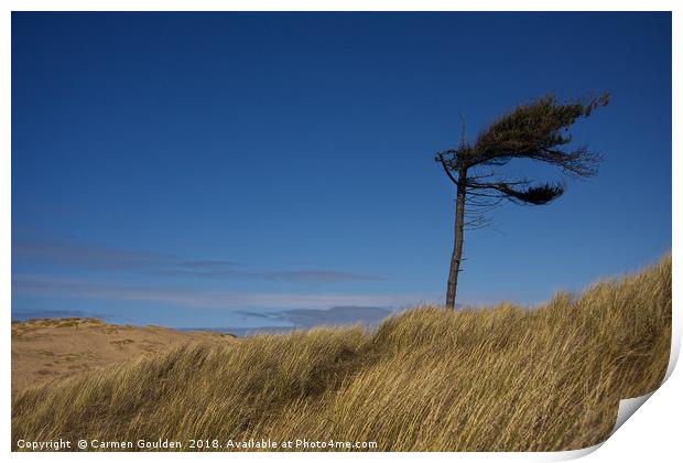 Lonely tree at Formby Beach Print by Carmen Goulden