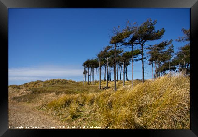 Wind swept trees at Formby Beach Framed Print by Carmen Goulden