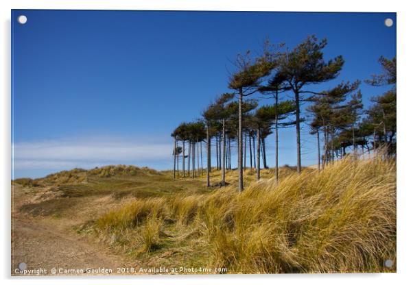 Wind swept trees at Formby Beach Acrylic by Carmen Goulden