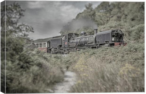 Welsh Steam Canvas Print by Sean Wareing