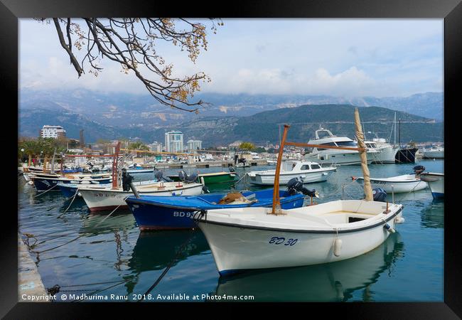 Bay of Budva, Montenegro Framed Print by Madhurima Ranu
