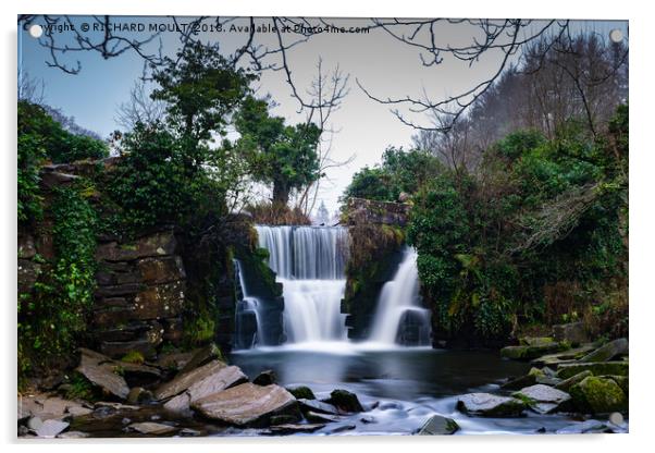 Penllergaer Waterfall at Valley Wood Swansea Acrylic by RICHARD MOULT