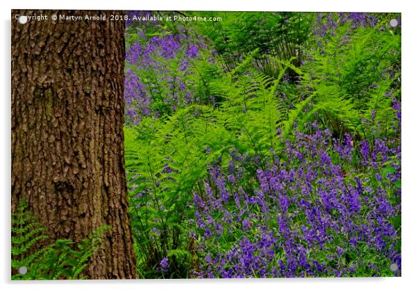 Bluebell Wood Colours Acrylic by Martyn Arnold