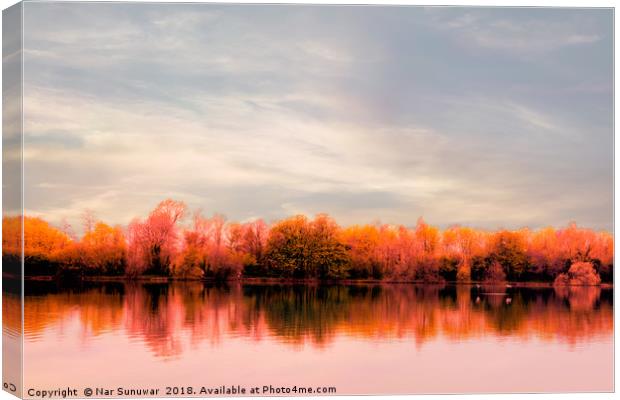 Cotswold Water Park  Canvas Print by Nar Sunuwar
