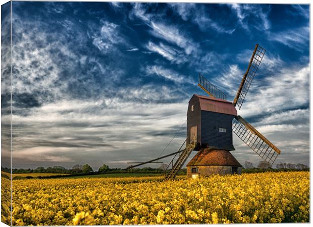 Stevington Windmill surrounded by Rapeseed at sunr Canvas Print by Donnie Canning