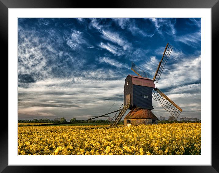 Stevington Windmill surrounded by Rapeseed at sunr Framed Mounted Print by Donnie Canning