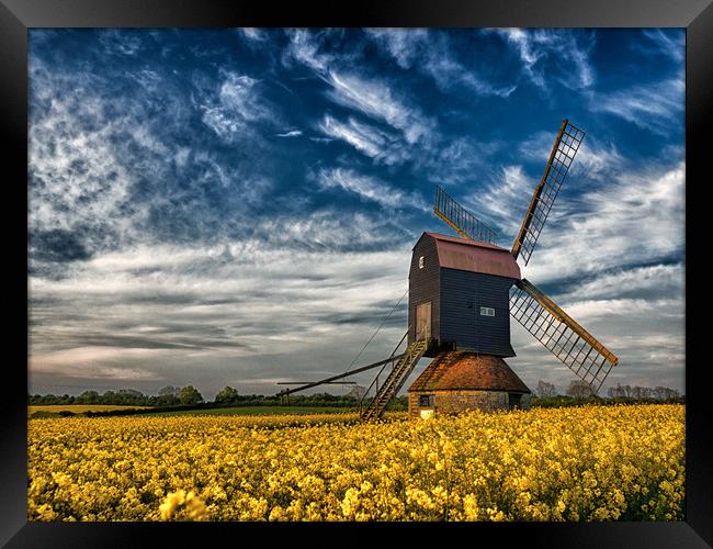 Stevington Windmill surrounded by Rapeseed at sunr Framed Print by Donnie Canning