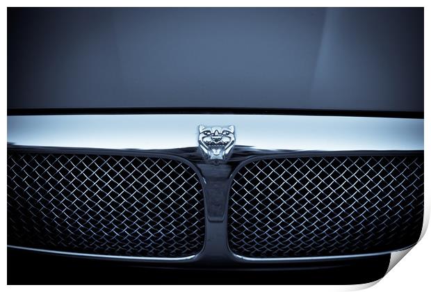 Jaguar XJ8 Grille Print by Donnie Canning