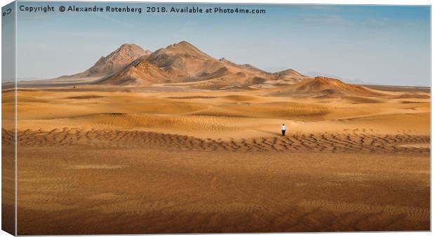 Lost in the Desert Canvas Print by Alexandre Rotenberg