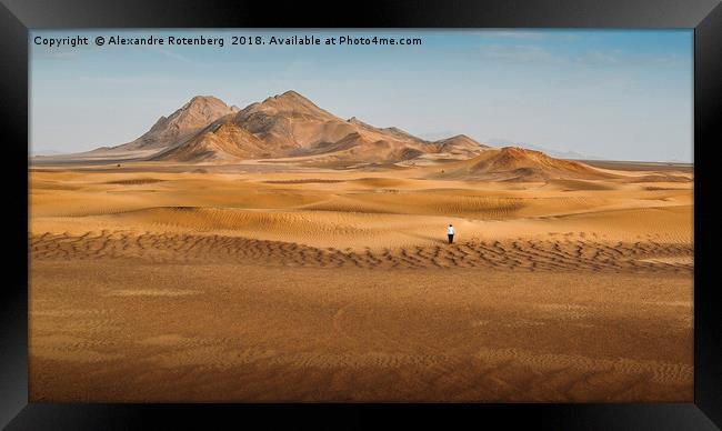 Lost in the Desert Framed Print by Alexandre Rotenberg
