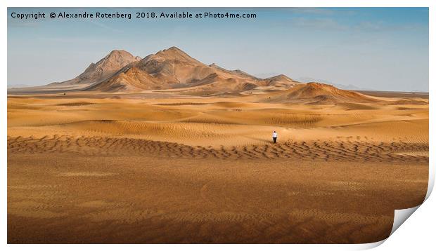 Lost in the Desert Print by Alexandre Rotenberg