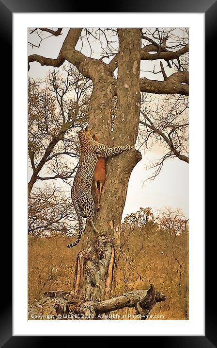 Leopard With Dinner Framed Mounted Print by Lisa PB