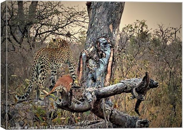 Leopard Looking Canvas Print by Lisa PB