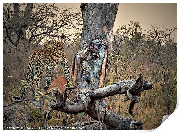 Leopard Looking Print by Lisa PB
