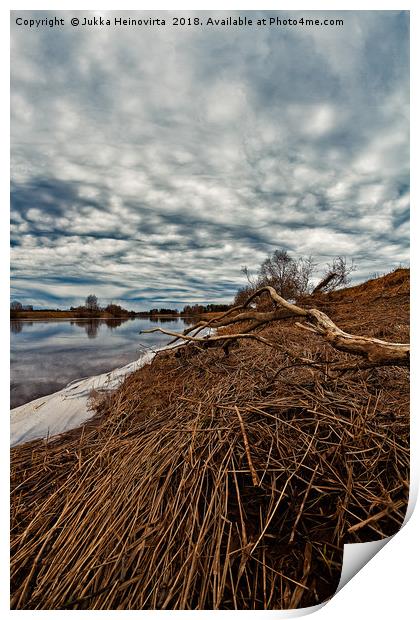 Dead Branch On The River Bend Print by Jukka Heinovirta