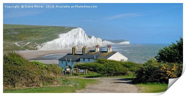 The Seven Sisters  Print by Diana Mower