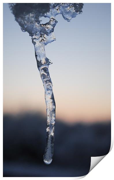 Ice Print by Mike Corrigan