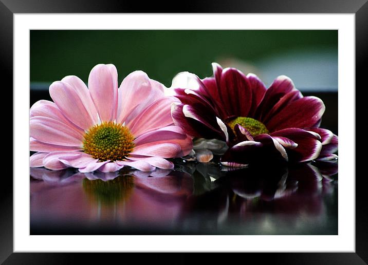 Pink and red Framed Mounted Print by Doug McRae