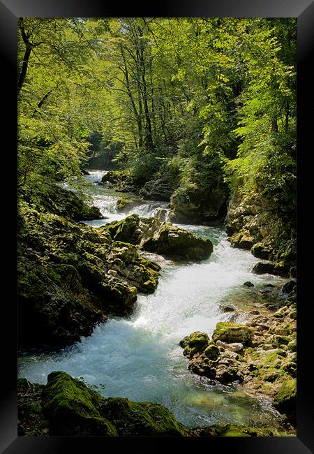 The Vintgar gorge, Gorje, near Bled, Slovenia Framed Print by Ian Middleton