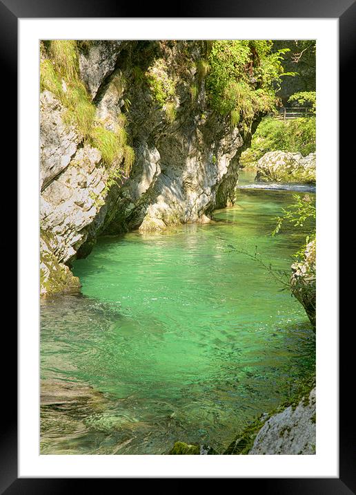 The Vintgar gorge, Gorje, near Bled, Slovenia Framed Mounted Print by Ian Middleton