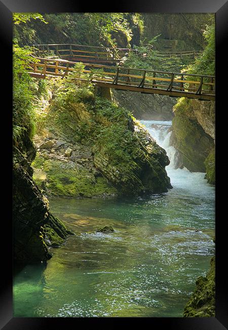 The Vintgar gorge, Gorje, near Bled, Slovenia Framed Print by Ian Middleton