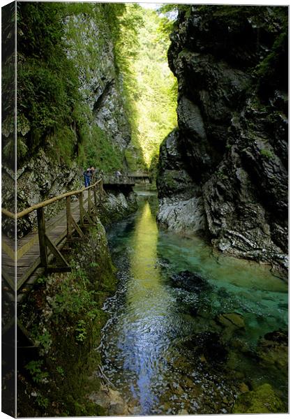 The Vintgar gorge, Gorje, near Bled, Slovenia Canvas Print by Ian Middleton