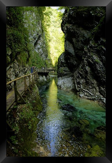 The Vintgar gorge, Gorje, near Bled, Slovenia Framed Print by Ian Middleton