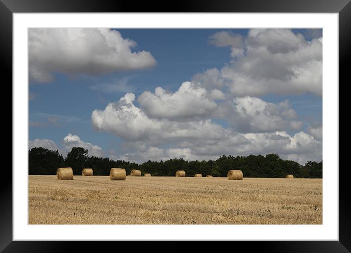 Hay Field Scene Framed Mounted Print by Simon H