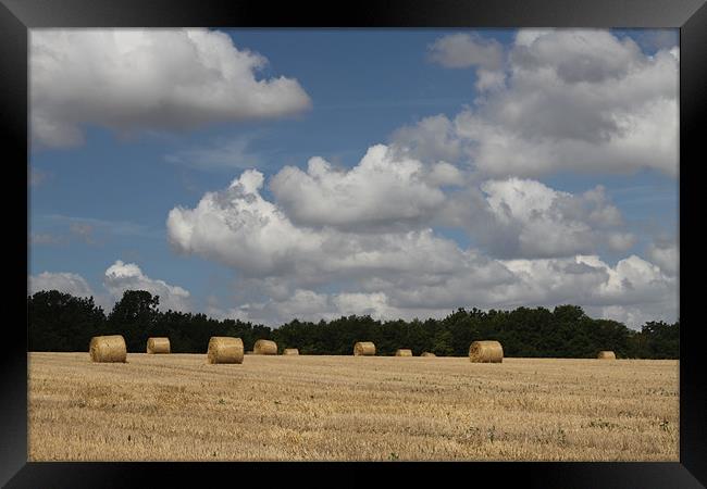 Hay Field Scene Framed Print by Simon H